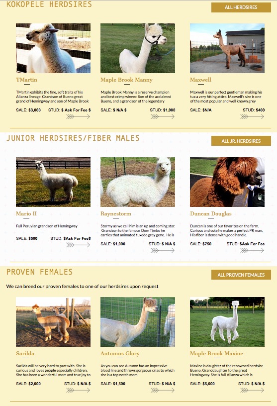 Alpaca Farm Web Development