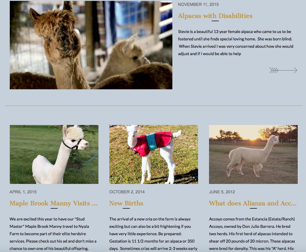 Alpaca Farm Web Development